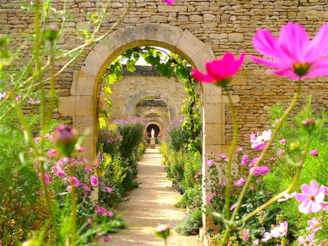 Château De Canon Cosmos