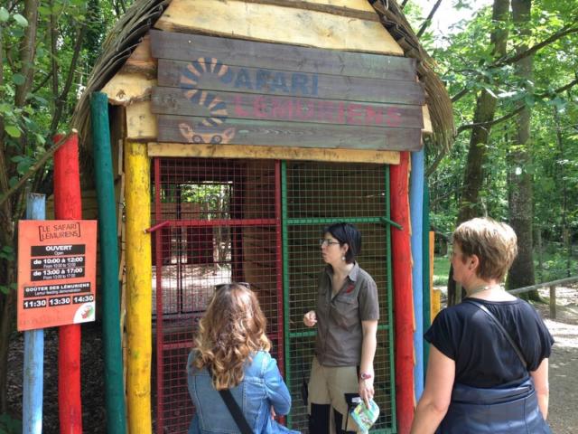 Safari Des Lémuriens Zoo Cerza Lisieux