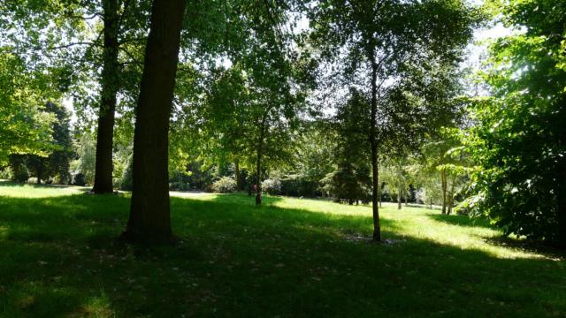 Arboretum De Lisieux (2)