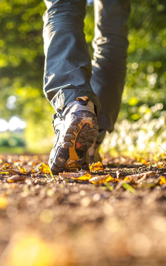 Randonnées dans une nature préservée