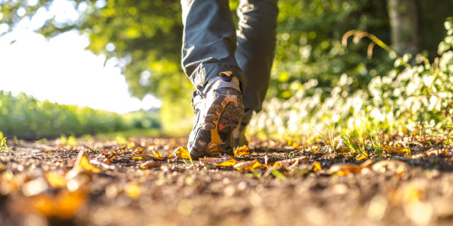 Closeup of male legs hiking in nature.