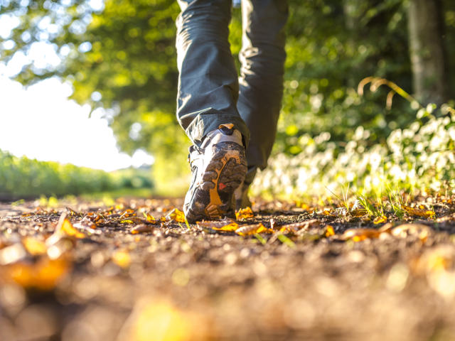 Randonnées dans une nature préservée