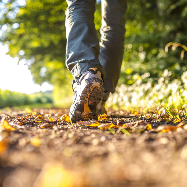 Randonnées dans une nature préservée