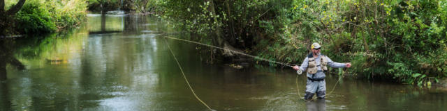 Pêche Dans La Touques ©Julien Boisard