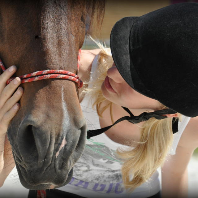 Cavalier et cheval