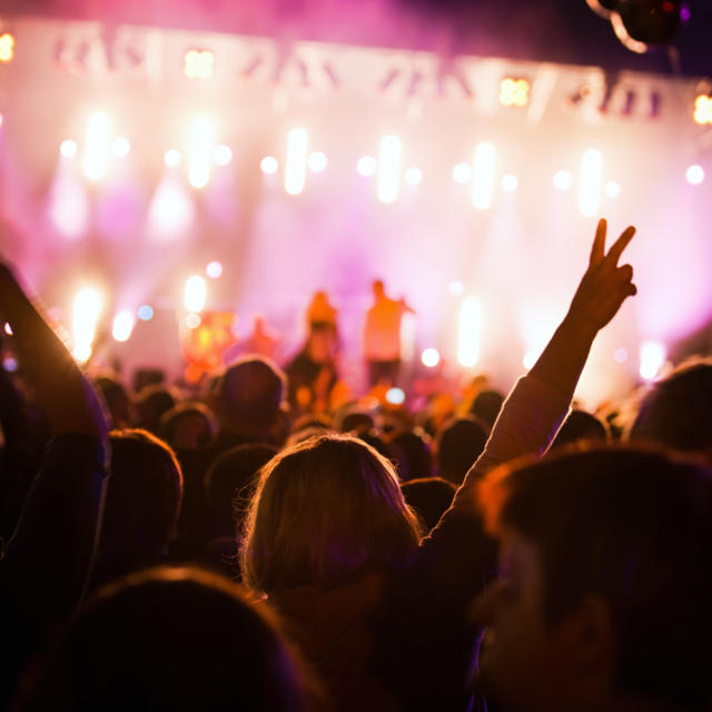 Crowds of people having fun on a music concert