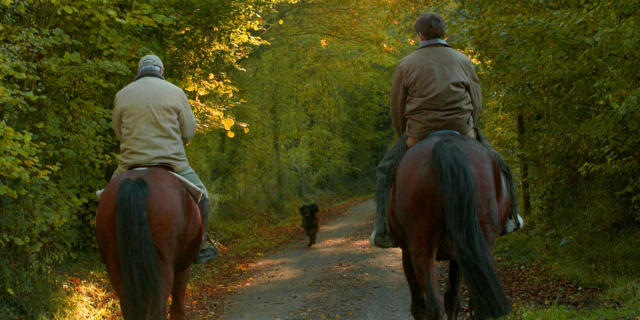 Randonnee A Cheval Gregory Wait Calvados Attractivite(1)