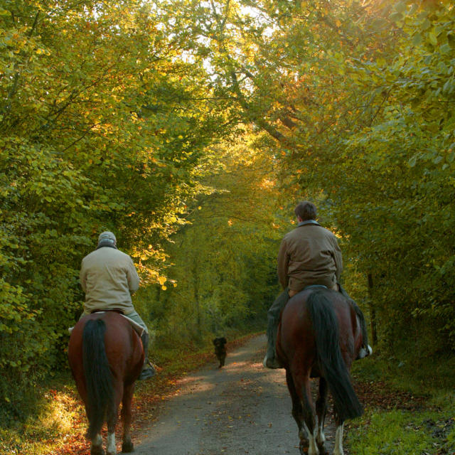 Randonnee A Cheval Gregory Wait Calvados Attractivite(1)