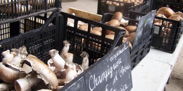 Champignonnière D'orbec Vente Directe Le Vendredi Après Midi