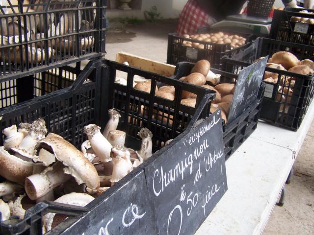 Champignonnière D'orbec Vente Directe Le Vendredi Après Midi