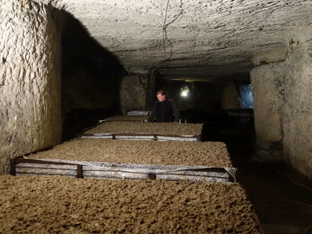 La Champignonnière D'orbec Anciènne Carrière De Craie