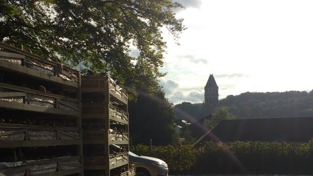 La Champignonnière D'orbec Vue Sur L'eglise D'orbec