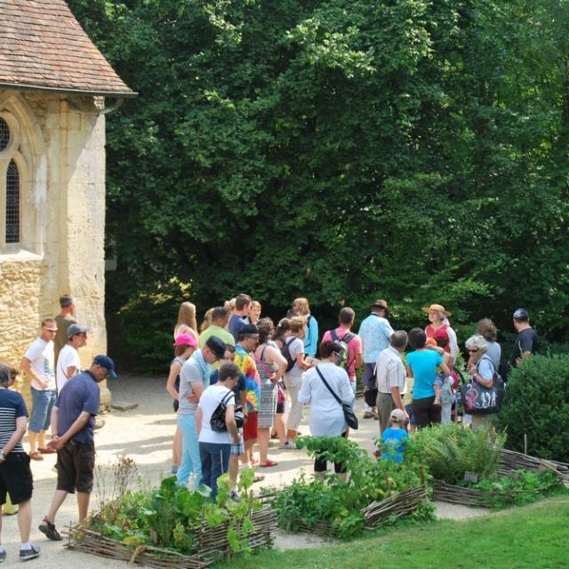 Visite Théâtralisée Groupe Chateau De Crèvecoeur