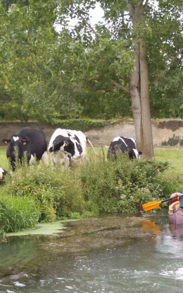 Canoë Sur La Dives Uspck