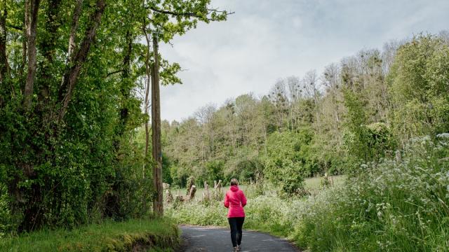 Dans Les Yeux De Thérèse - Ouilly-le-Vicomte