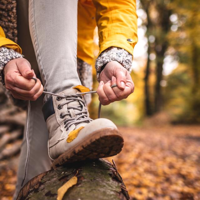 Woman tying shoelace on her hiking boot. Tourist is getting ready for autumn hike at woodland trekking trail