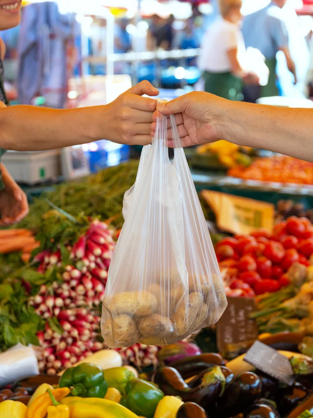 Marché à Lisieux Normandie (4)